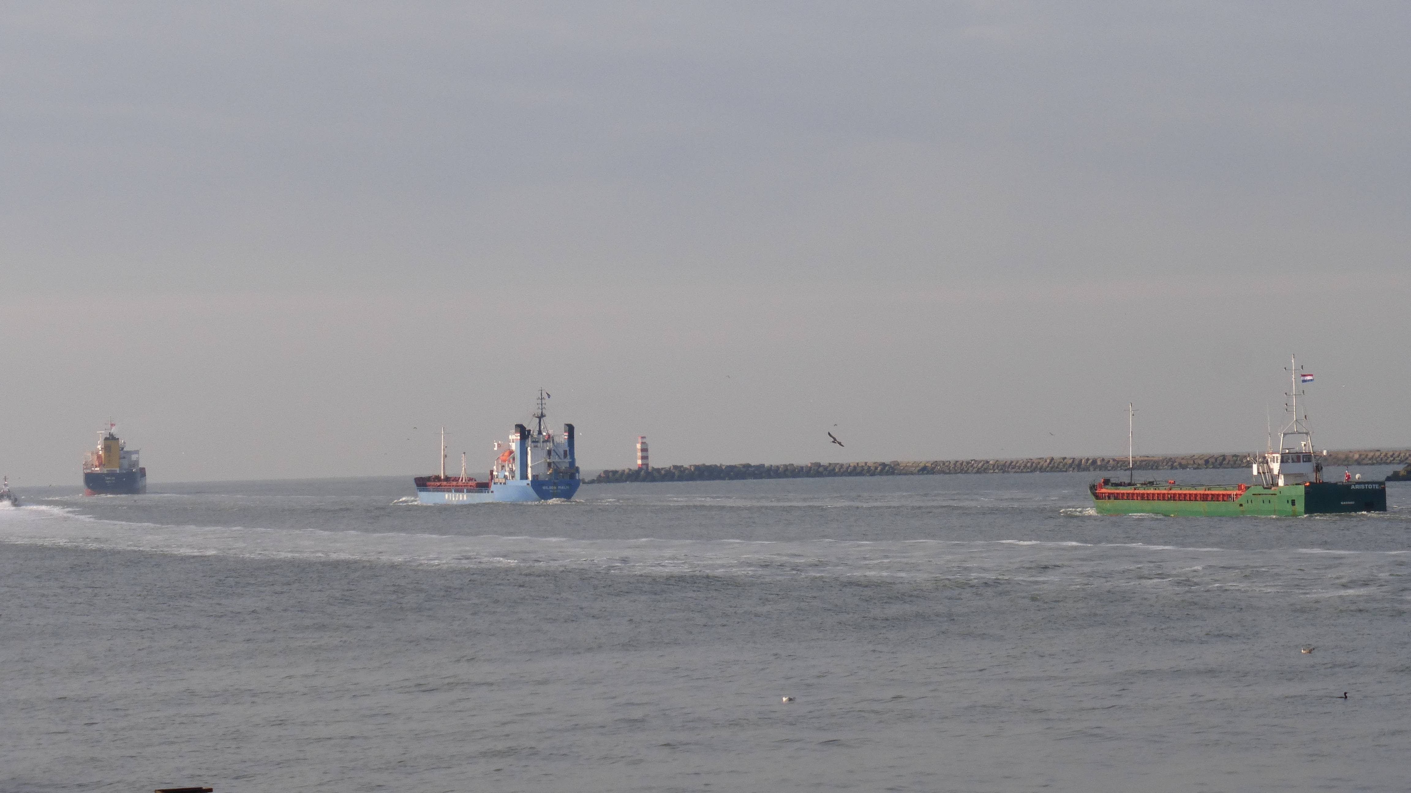 Pieren IJmuiden 06-01-17 